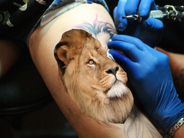 Creation of My Lion King: Step 2